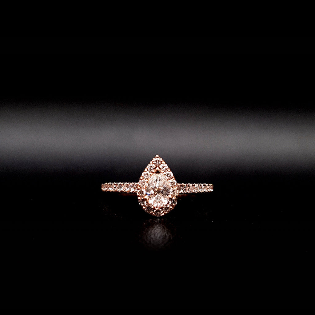 Engagement, Mariage & Fiançailles