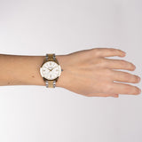 Balmain Classic R 34mm