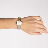 Balmain Haute Elegance 29mm